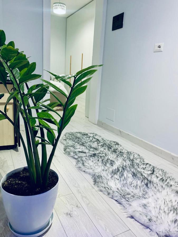 Cozy Corner Apartment Tirana Exterior foto