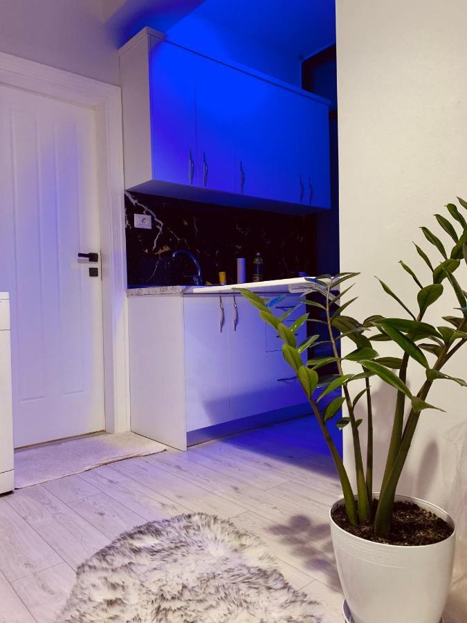 Cozy Corner Apartment Tirana Exterior foto
